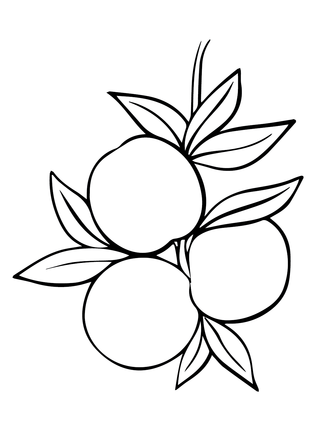 Peaches coloring pages printable for free download