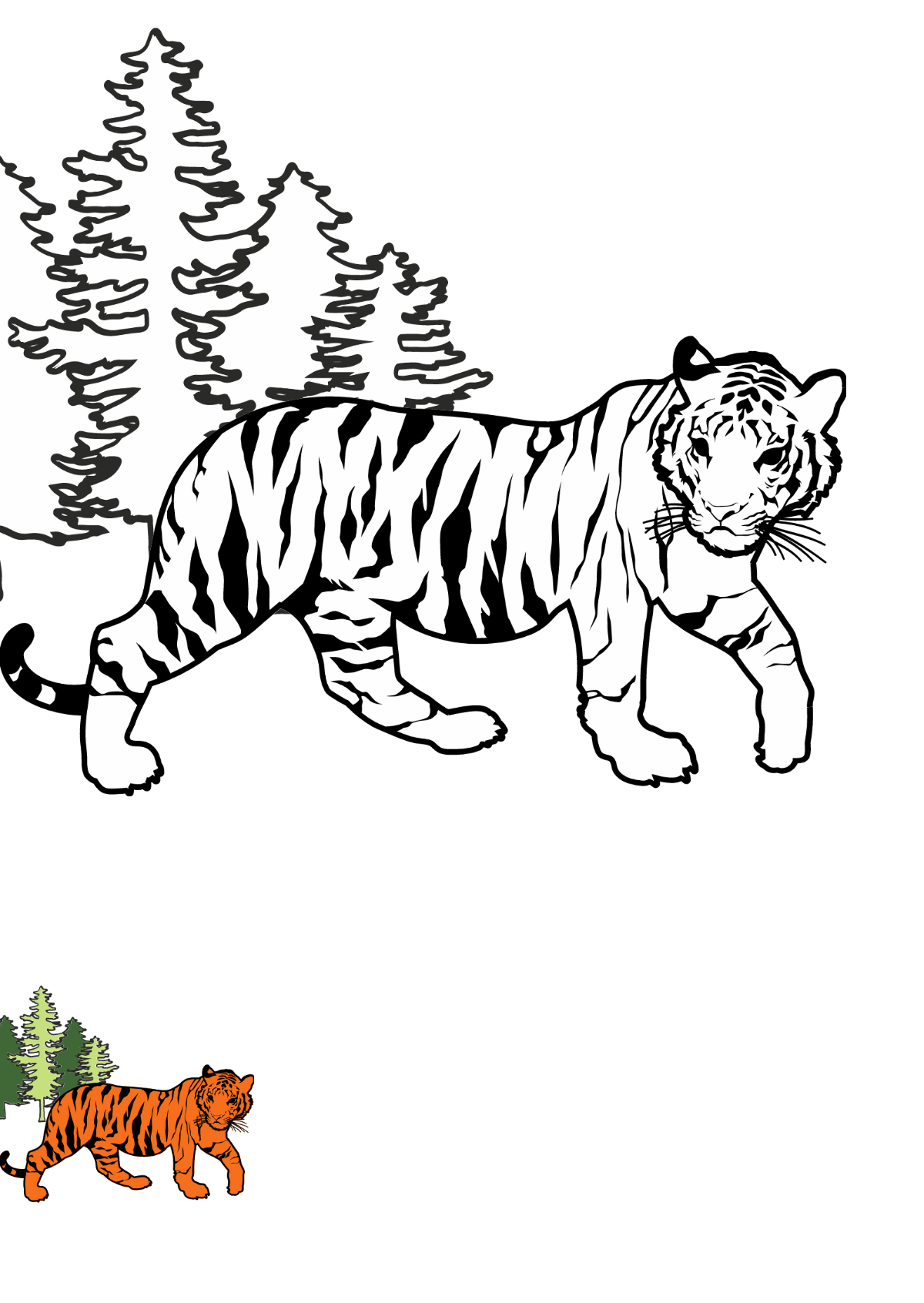 Free tiger coloring