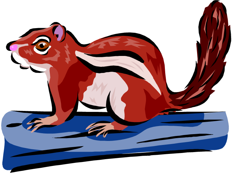 Free chipmunk clipart