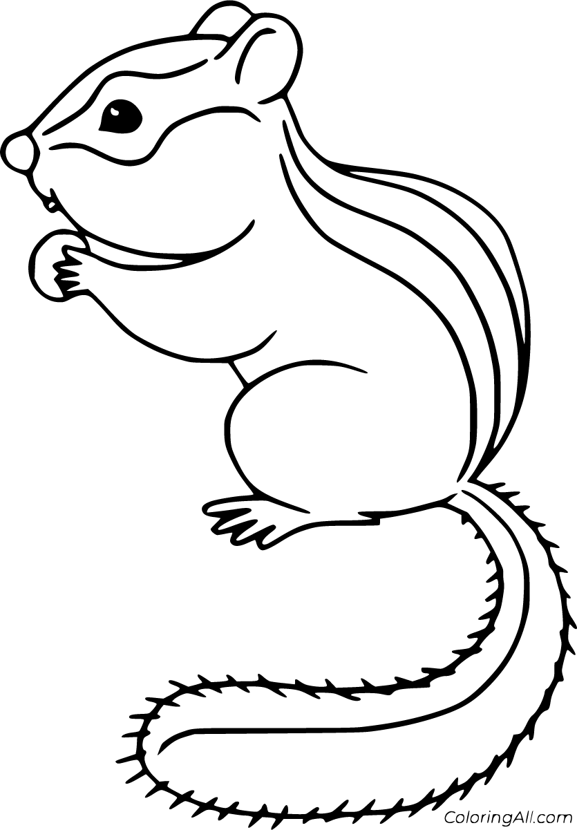 Chipmunk coloring pages