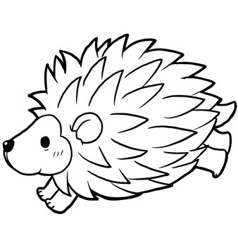 Page kawaii hedgehog coloring book images