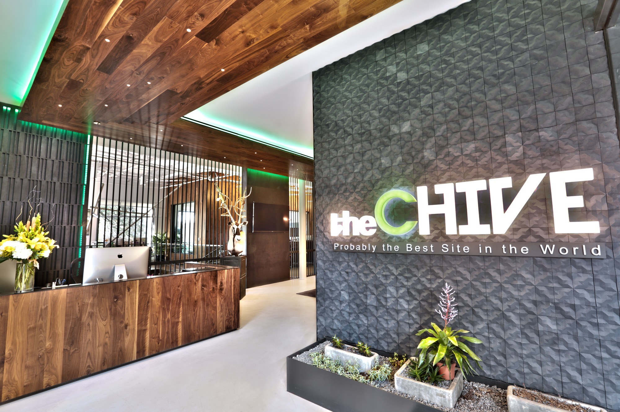 Take a tour of thechives awesome austin headquarters