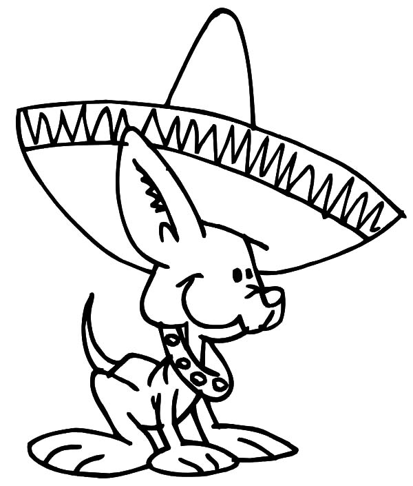 Mexican chihuahua dog coloring pages dog coloring page cute little dogs puppy coloring pages