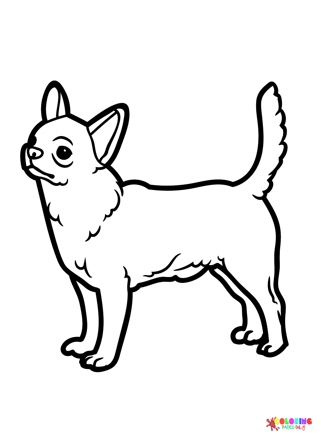 Dog chihuahua coloring page