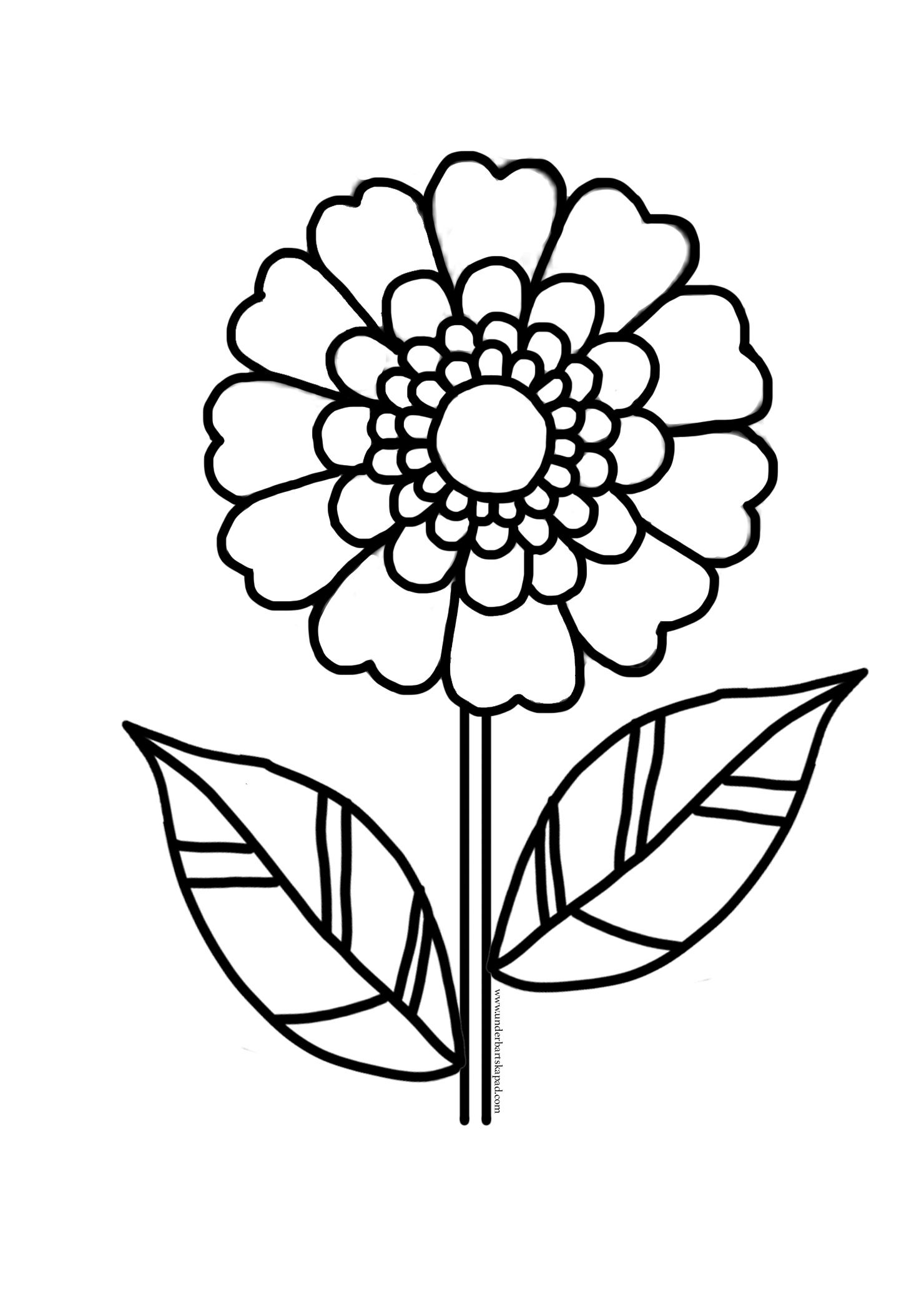 Flower coloring pages