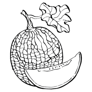 Melons coloring pages printable for free download