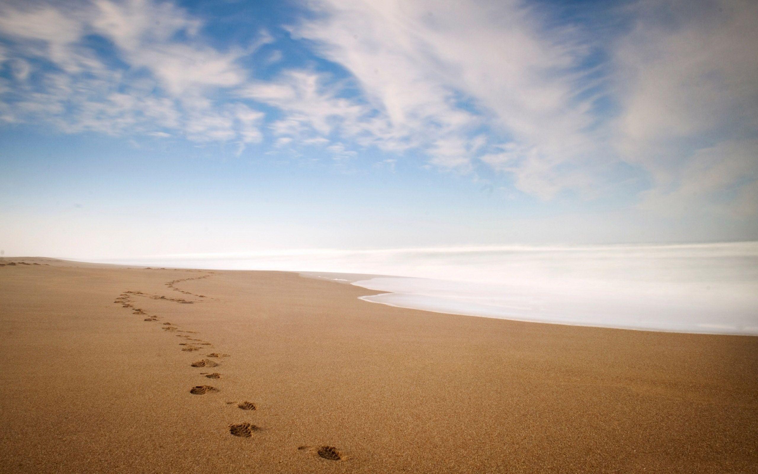 Free footprints in the sand wallpapers