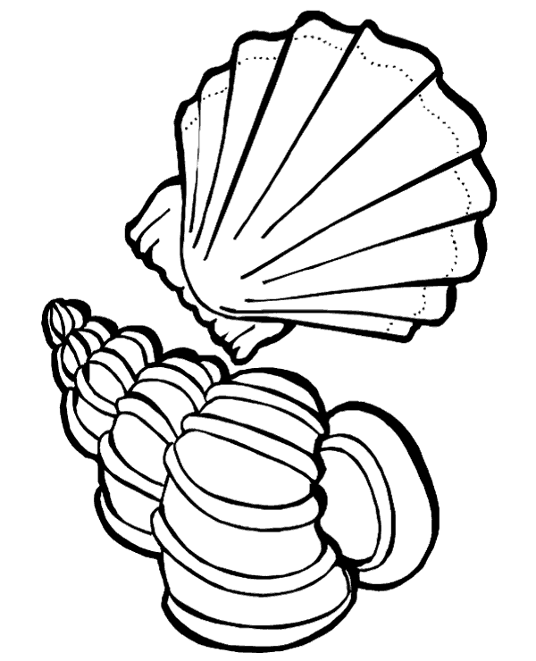 Big ocean shells coloring page for kids