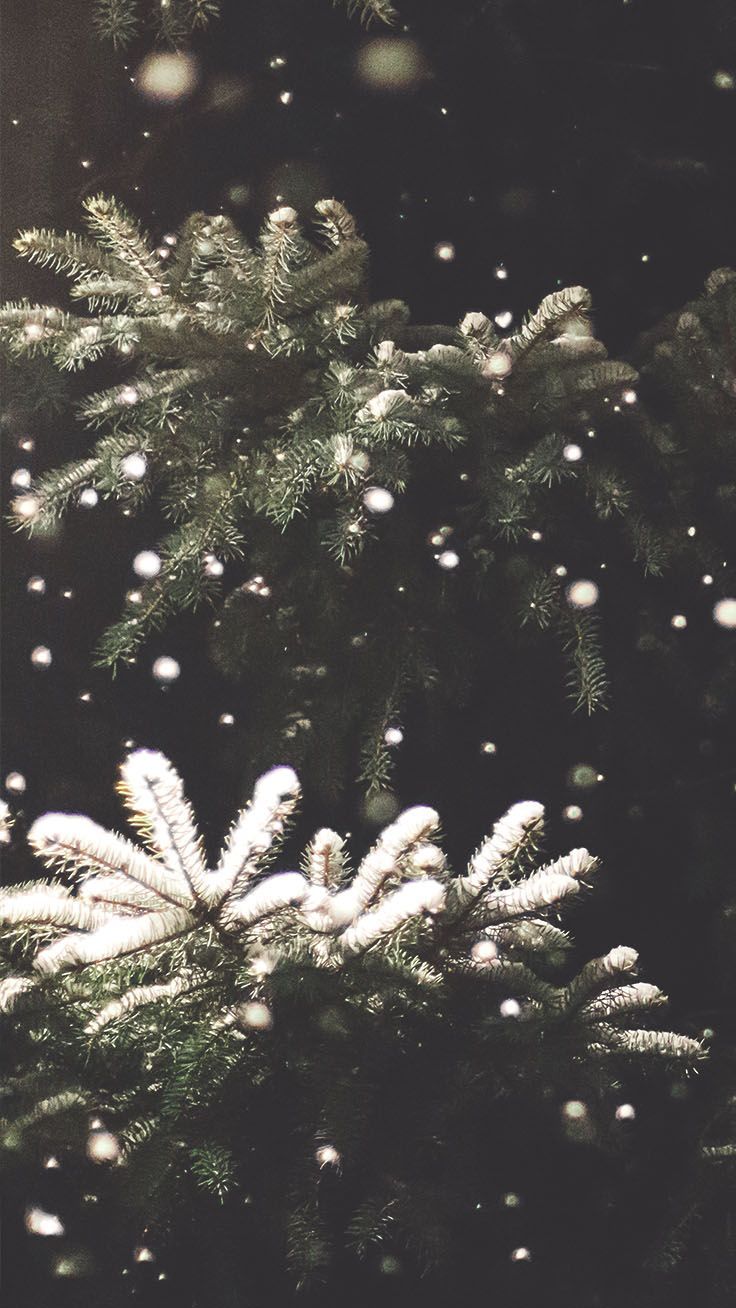 Download Free 100 + christmas aesthetic tumblr Wallpapers