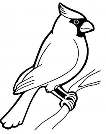 Printable coloring pages bird coloring pages bird drawings animal coloring pages