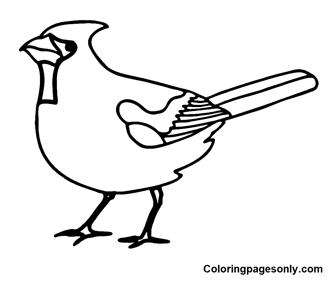 Cardinal coloring pages printable for free download