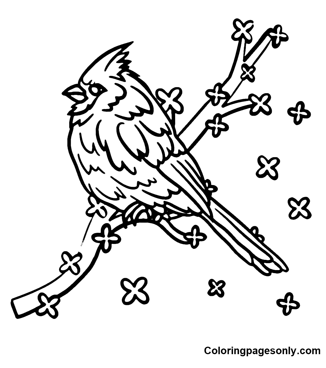 Cardinal coloring pages printable for free download