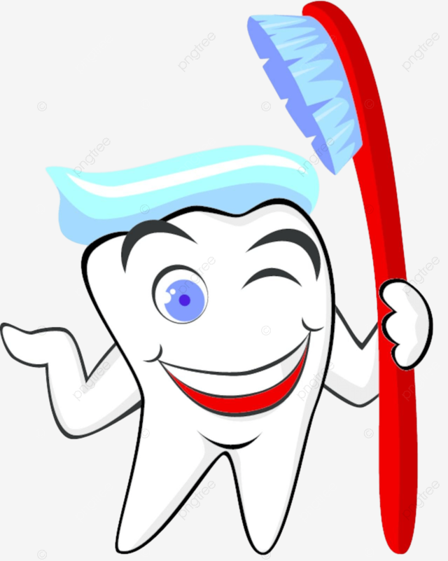 Tooth with tooth brush root ic paste vector root ic paste png and vector with transparent background for free download