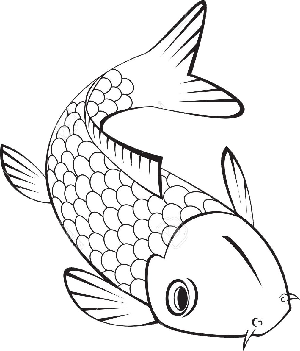 Pond fish coloring pages clipart clipart clipart