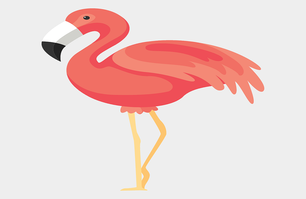 Free flamingo coloring pages printable