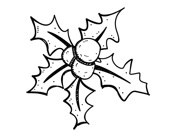 Christmas holly coloring page