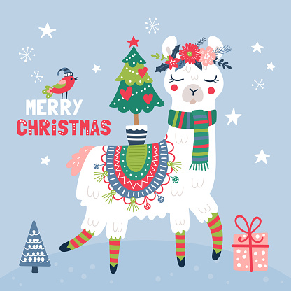 Download christmas llama wallpapers Bhmpics