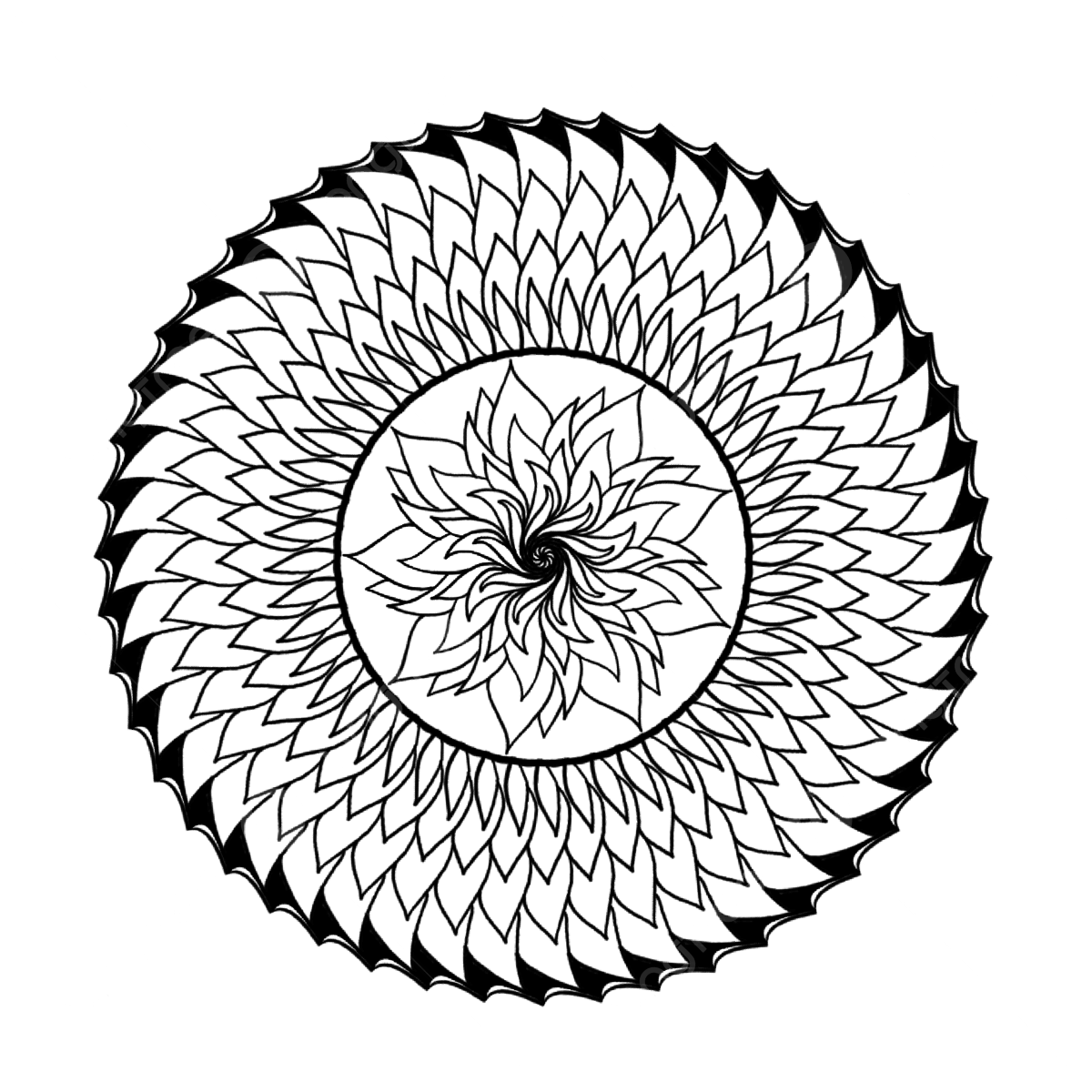 Christmas floral mandala hand drawing art christmas drawing floral drawing mandala drawing png transparent clipart image and psd file for free download