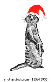 Christmas meerkat images stock photos vectors