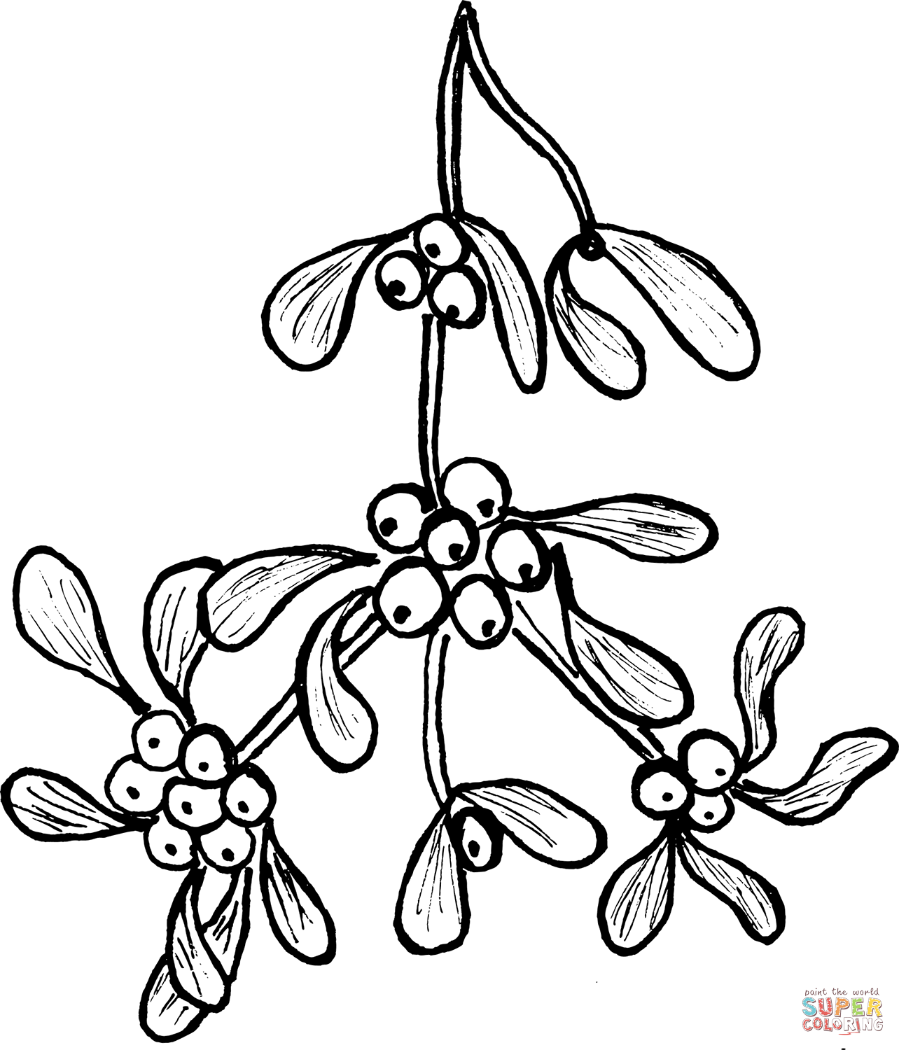 Mistletoe coloring page free printable coloring pages