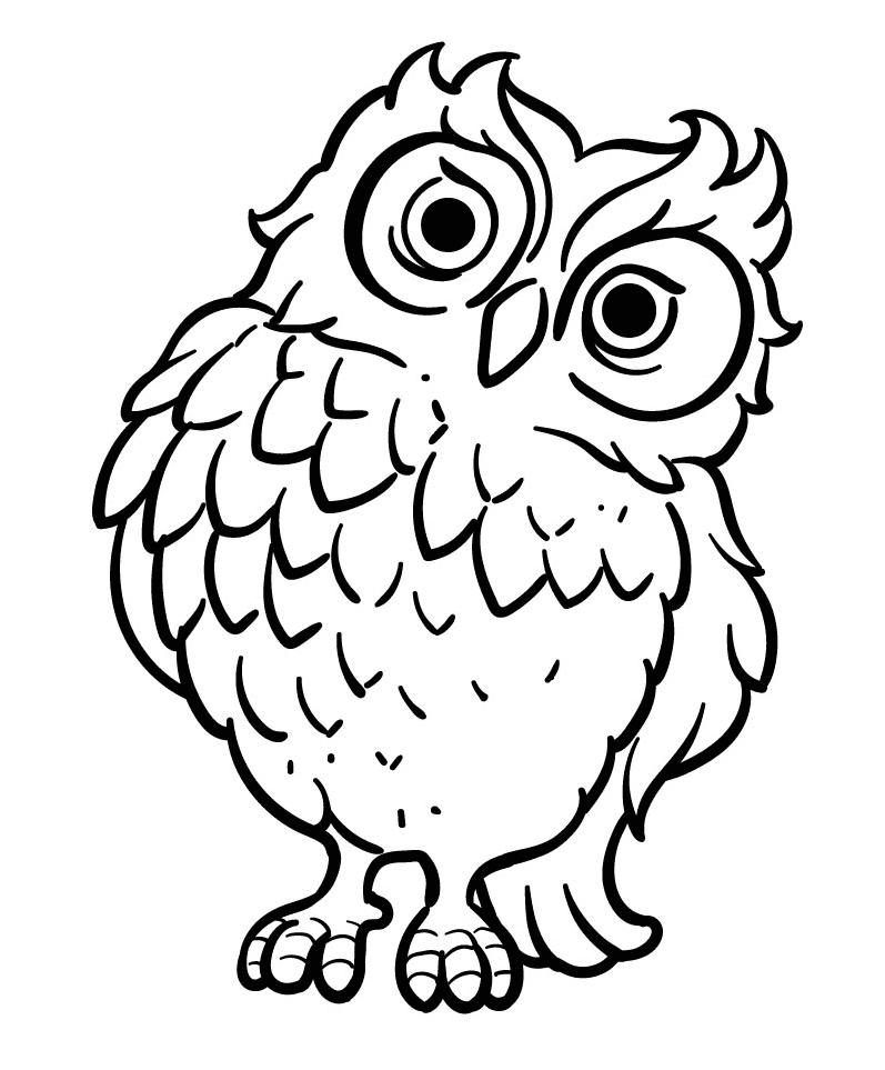 Owl coloring pages