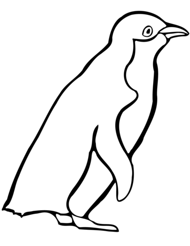 Little blue penguin coloring page free printable coloring pages