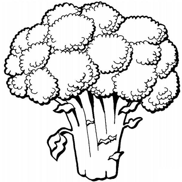 Vegetable coloring pages