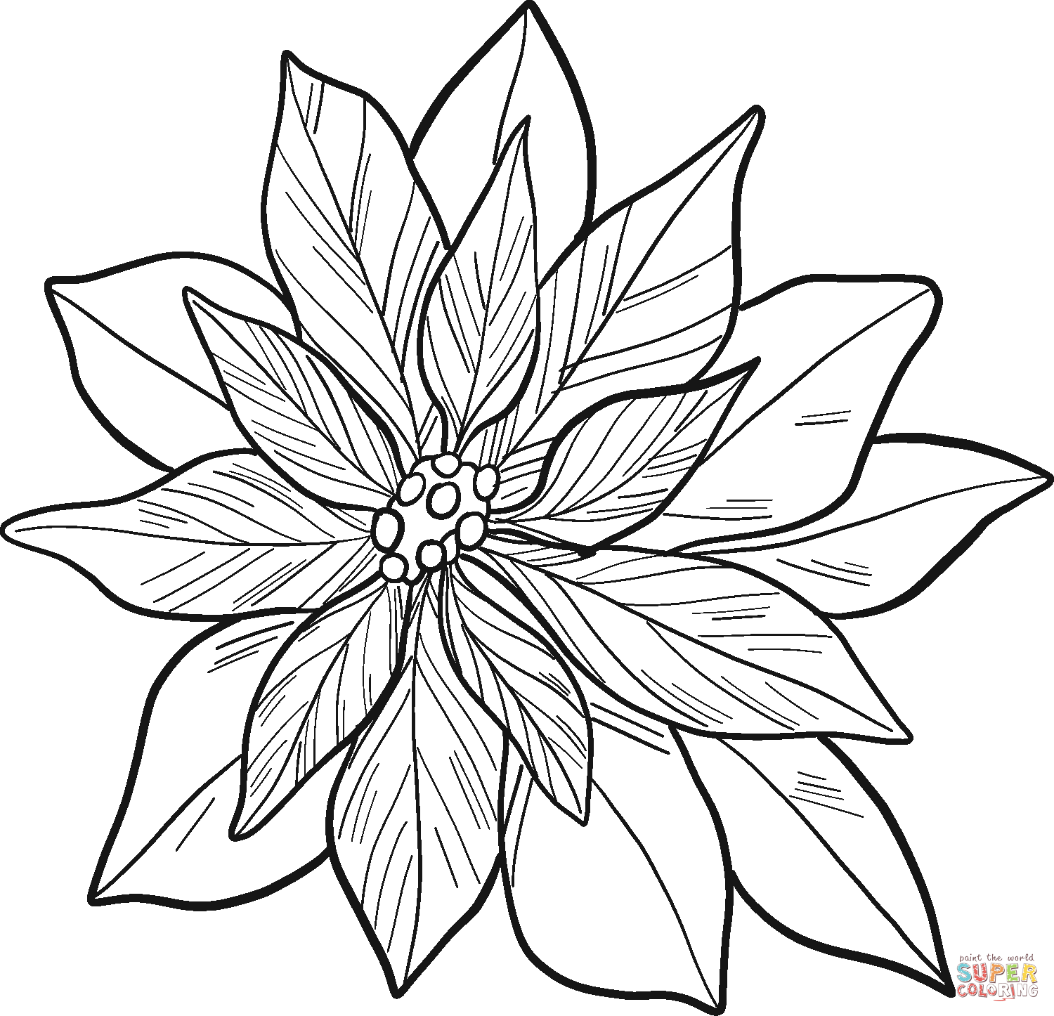 Poinsettia coloring page free printable coloring pages