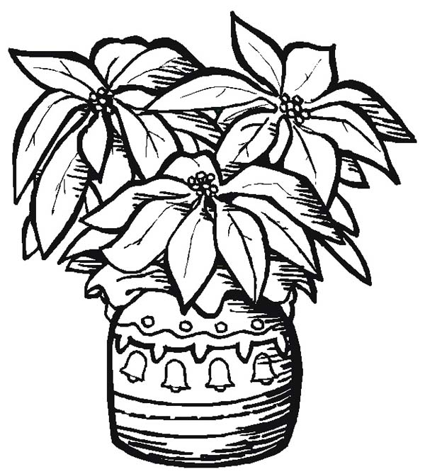 Pottery poinsettia coloring page color luna free christmas coloring pages coloring pages printable christmas coloring pages