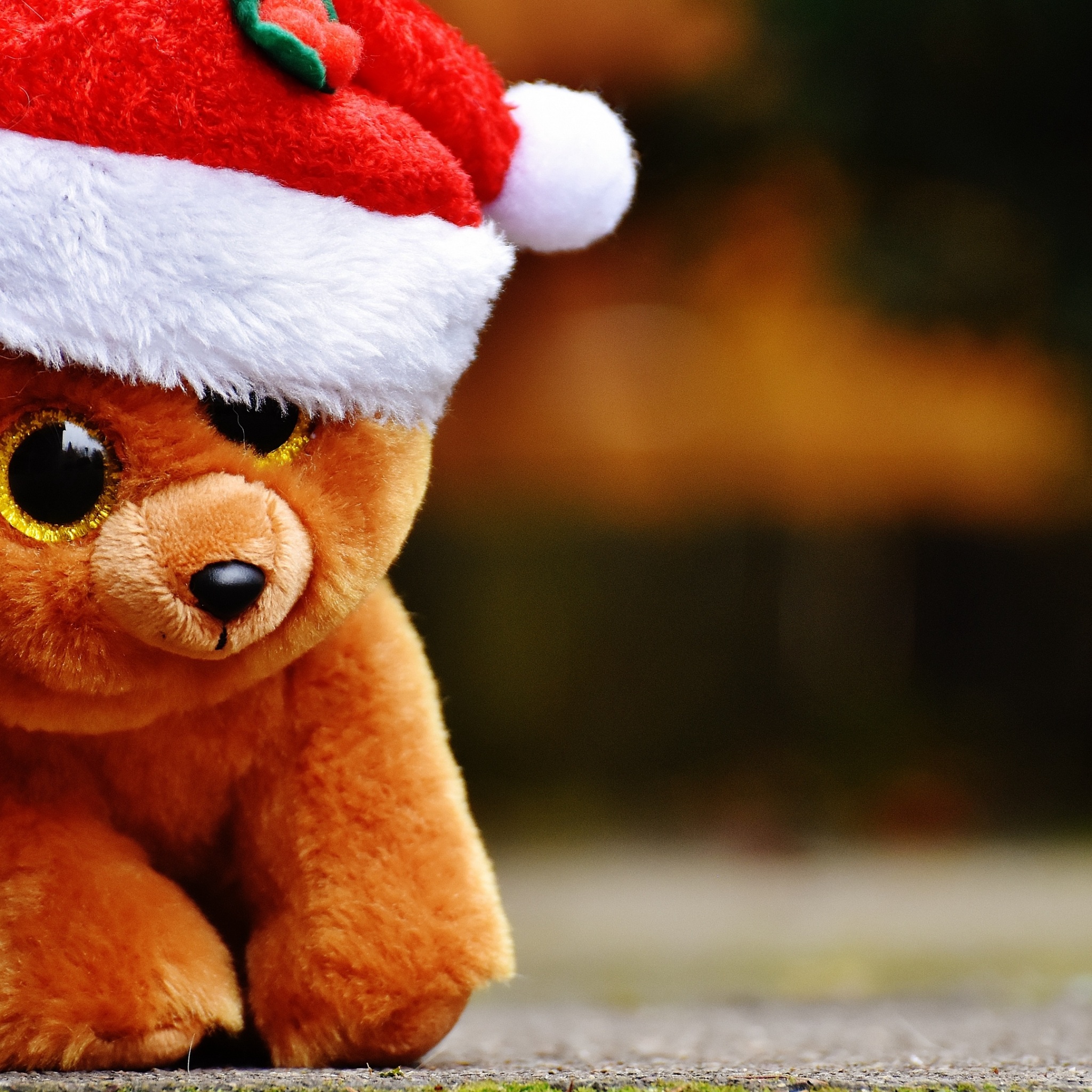 Download Free 100 + christmas teddy bear Wallpapers