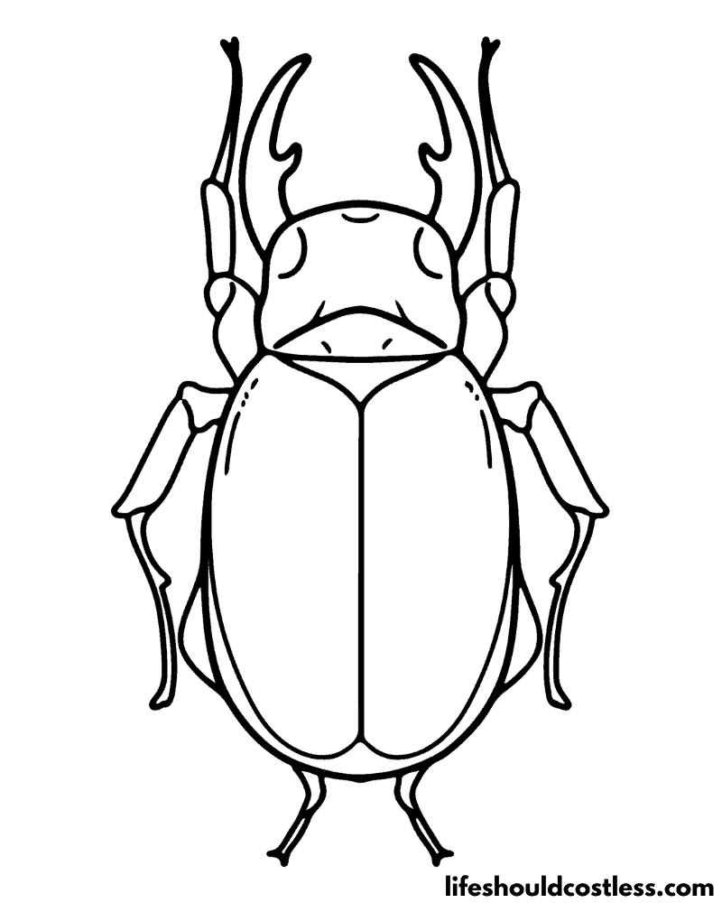 Insect coloring pages free printable pdf templates