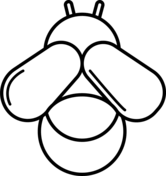 Fly coloring pages free coloring pages