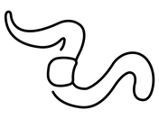 Earthworms coloring pages free coloring pages