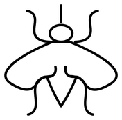 Mosquito coloring pages free coloring pages