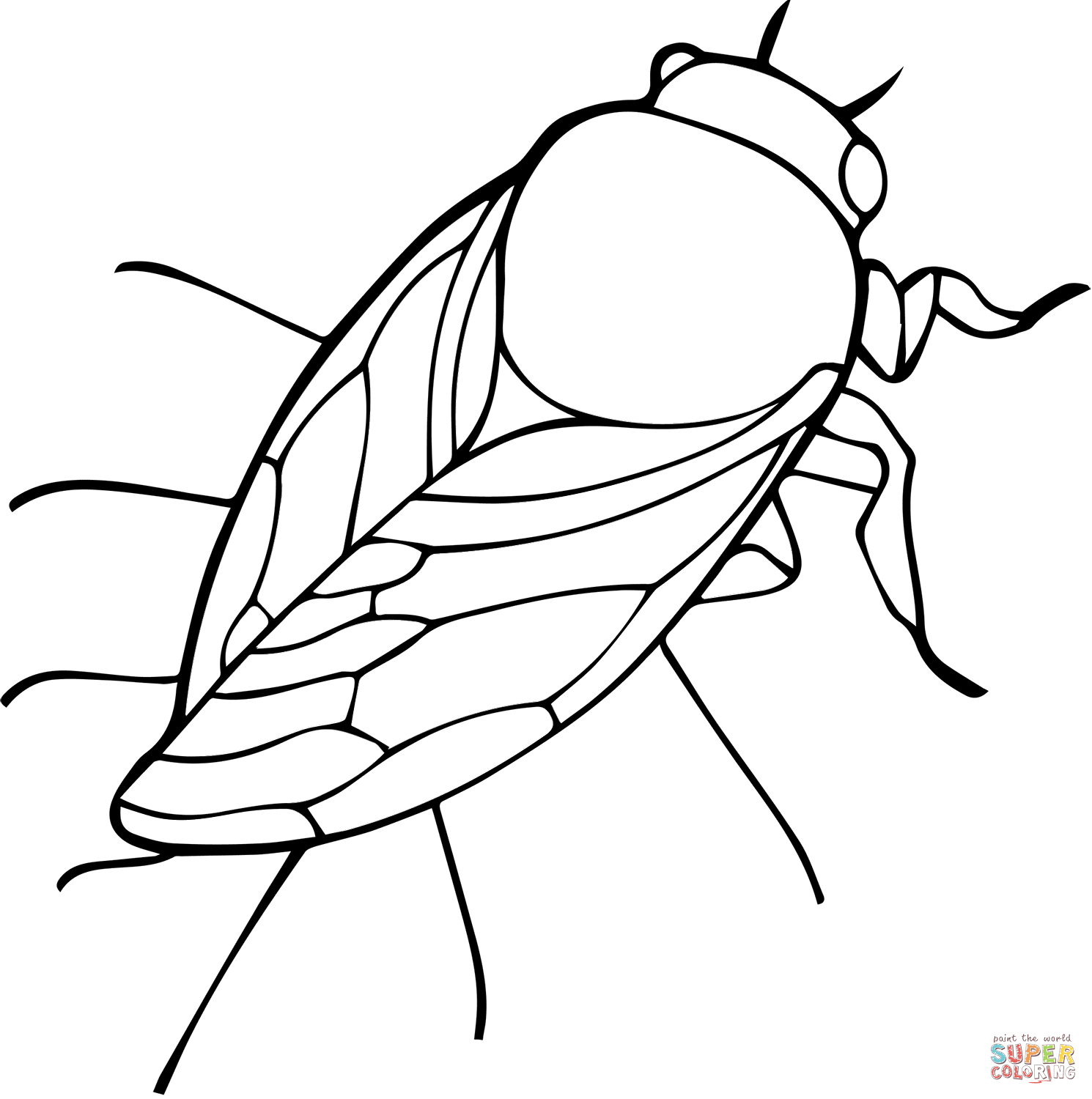 Cicada coloring page free printable coloring pages