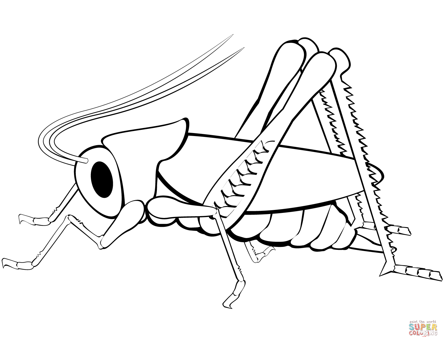 Grasshopper coloring page free printable coloring pages