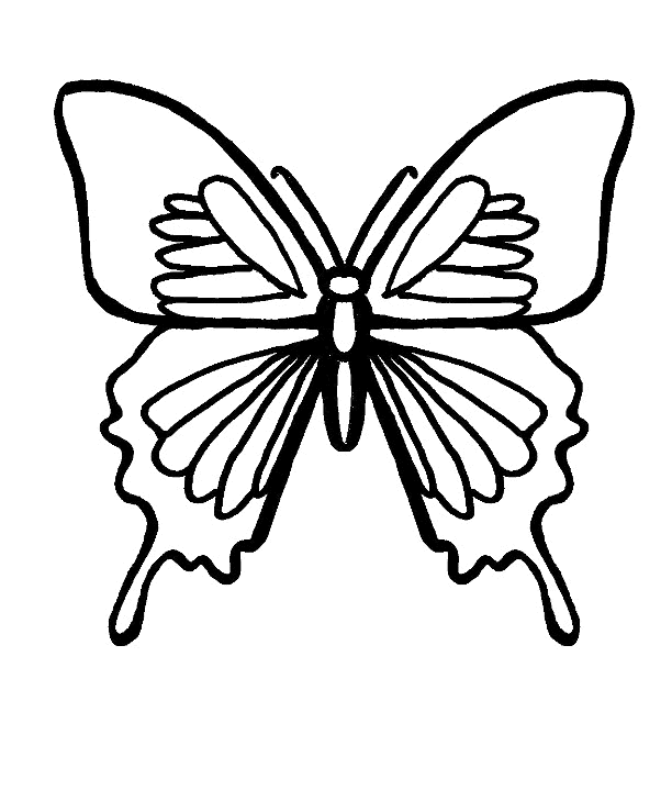 Dibujo de mariposa para colorear y pintar