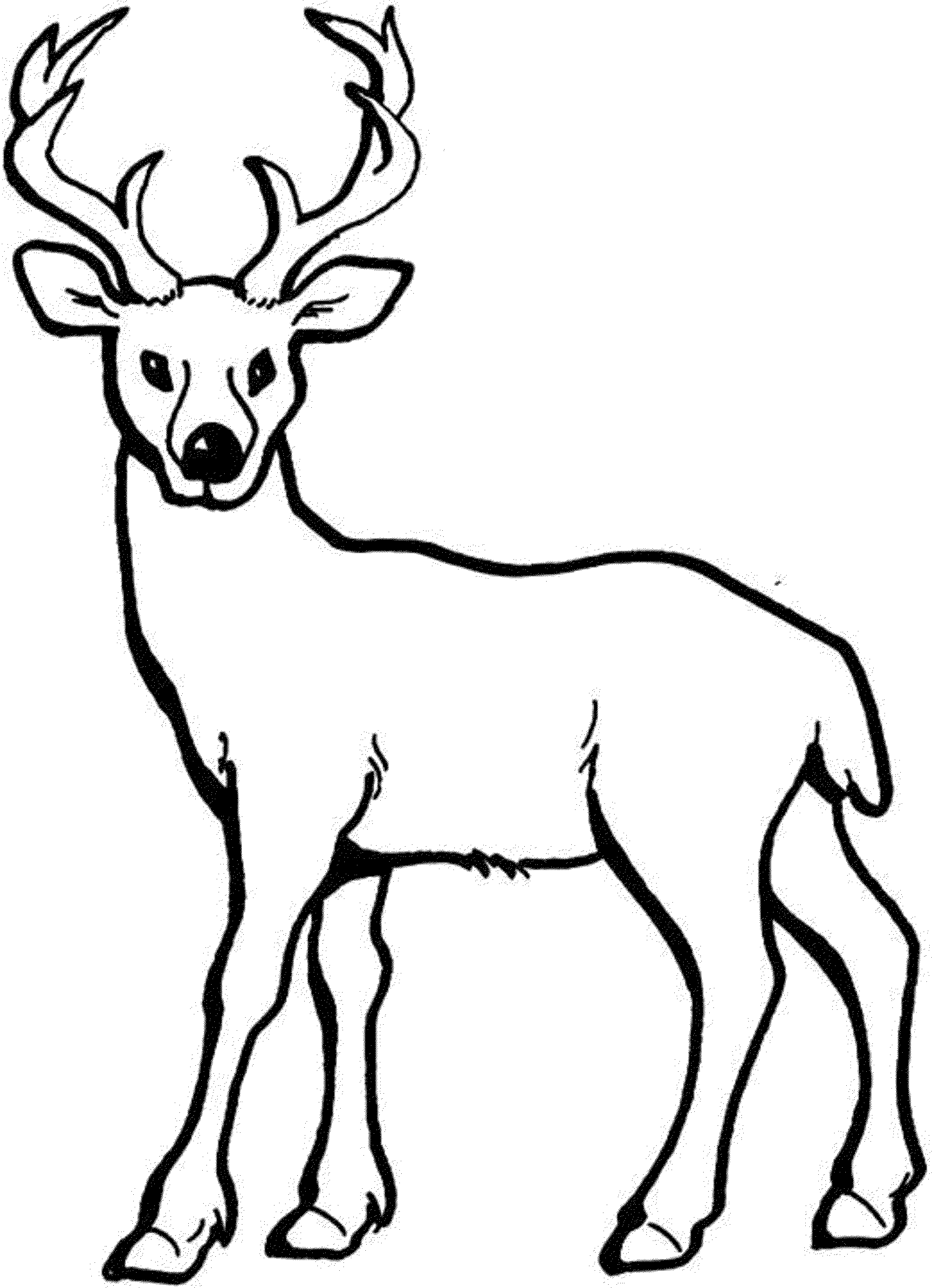 Grab your frh coloring pag deer free httpsgethighitcomfrh