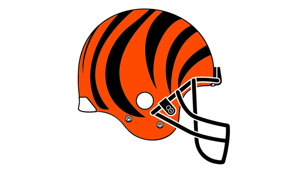 Explore the best cincinnatibengals art