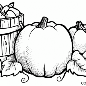 Pumpkin coloring pages printable for free download