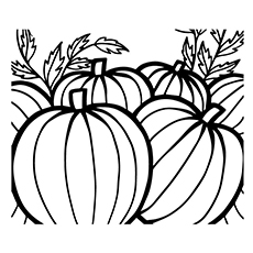 Top free printable pumpkin coloring pages online