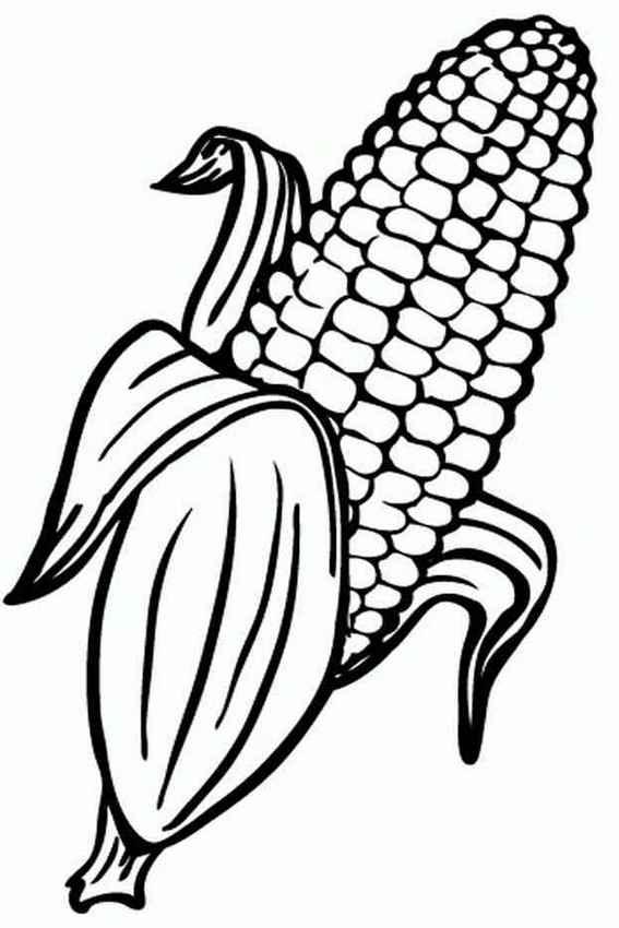 Sweet corn coloring page design vegetable coloring pages fruit coloring pages coloring pages for kids