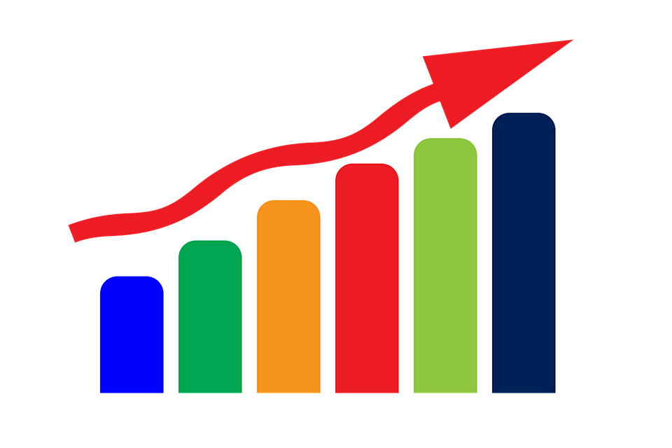 Statistika po rasama za godinu