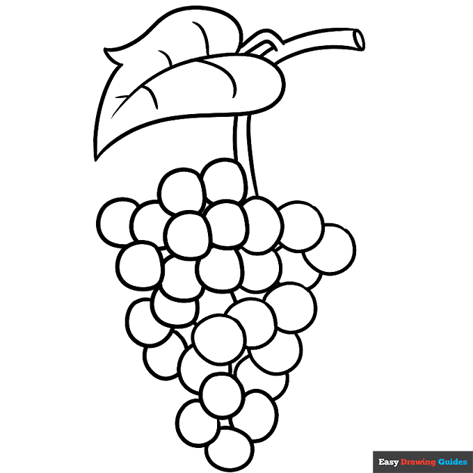 Grapes coloring page easy drawing guides