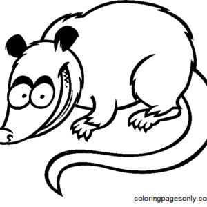 Opossum coloring pages printable for free download