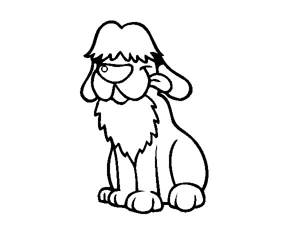 Old english sheepdog coloring page