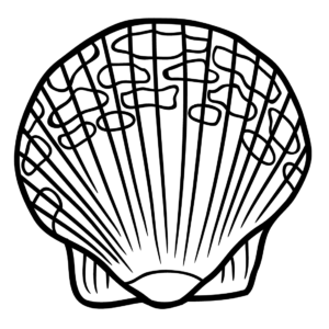 Scallop coloring pages printable for free download