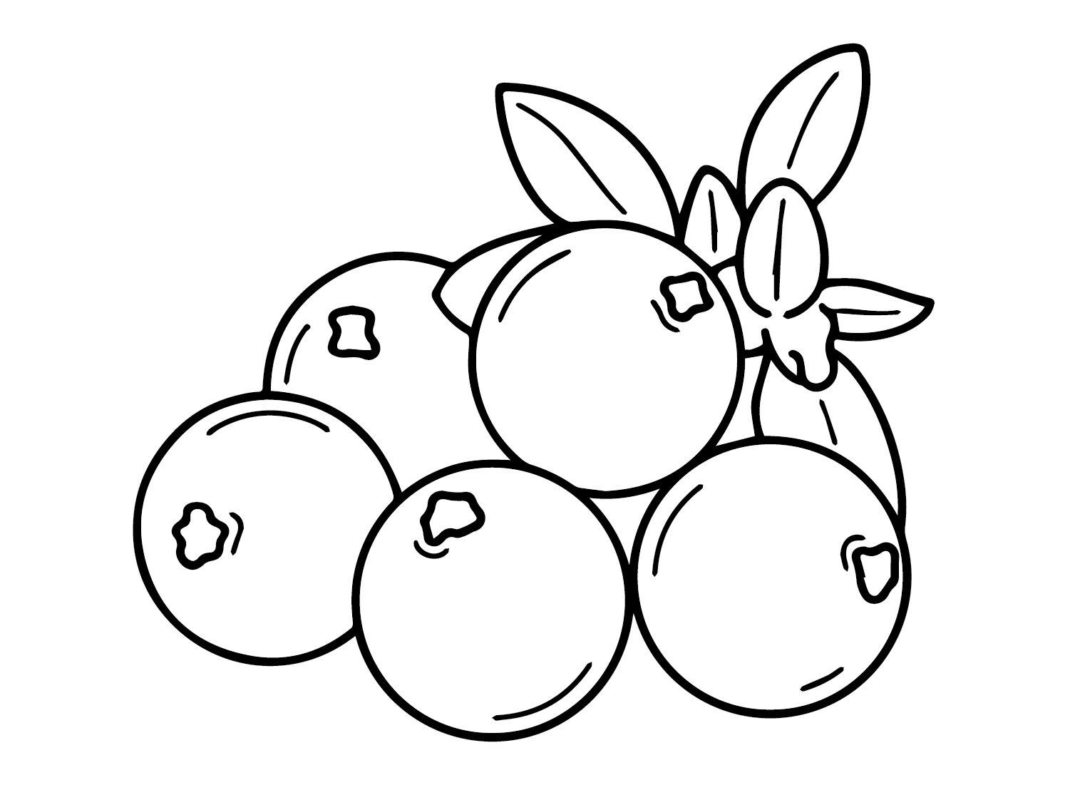 Cranberry coloring pages printable for free download