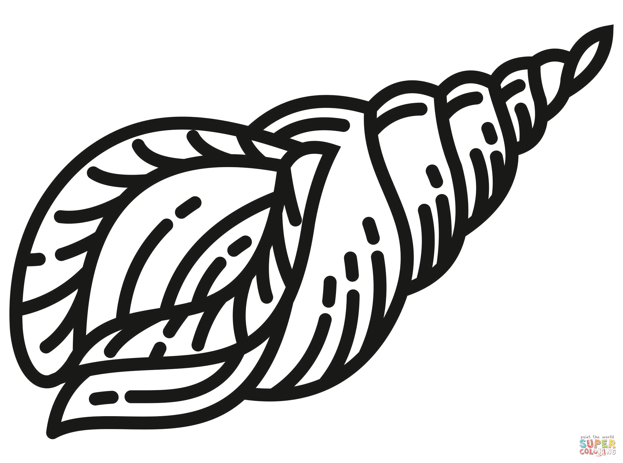 Clam coloring page free printable coloring pages