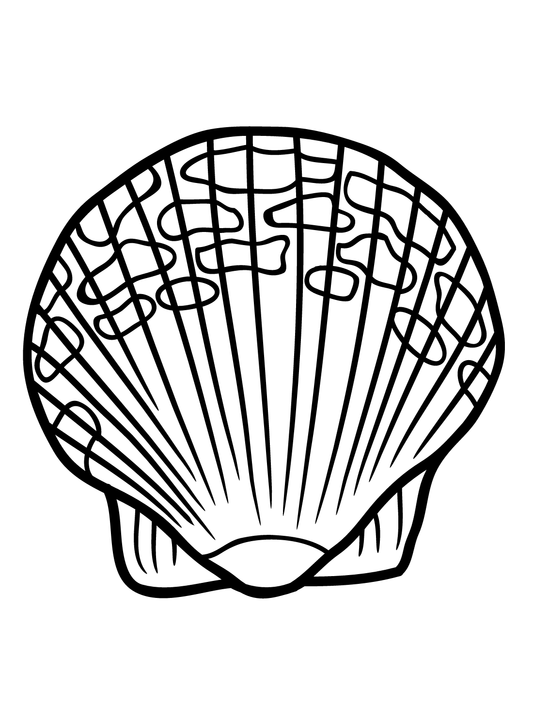 Scallop coloring pages printable for free download